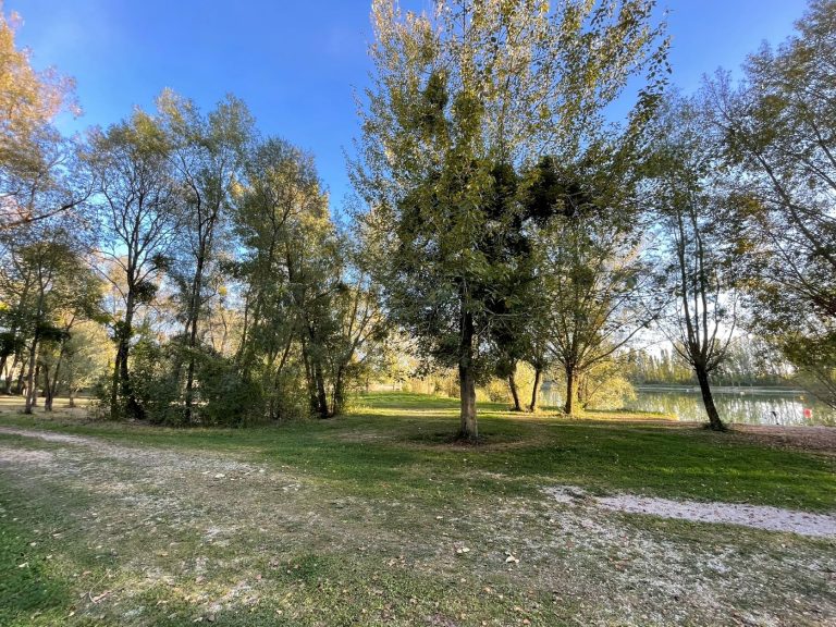 Cross du VAC plaine 1