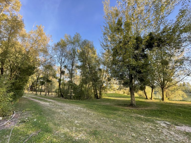 Cross du VAC plaine 2